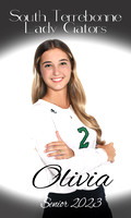volleyball banners sr 23